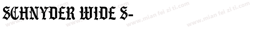 Schnyder Wide S字体转换